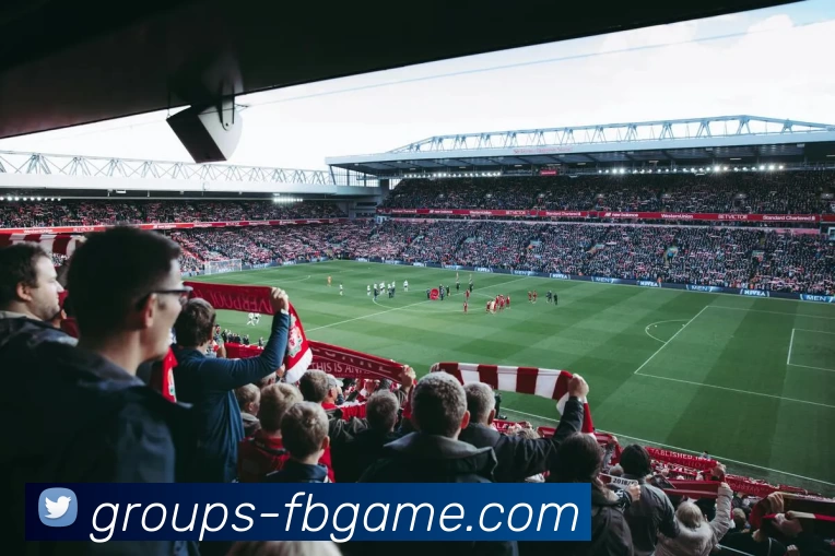 FB体育官网APP 封面图